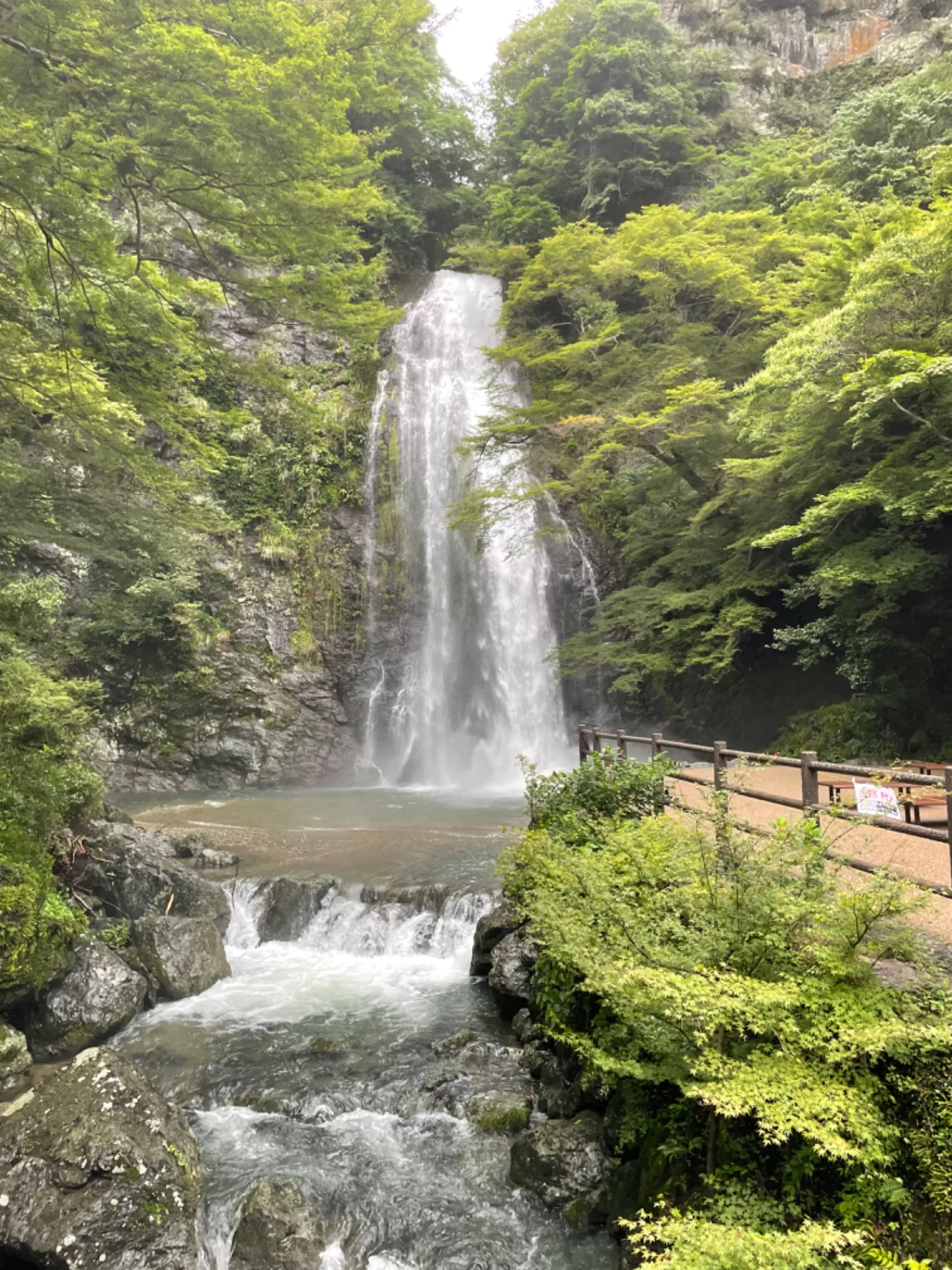 ホワイトニングスタッフ日記🥺